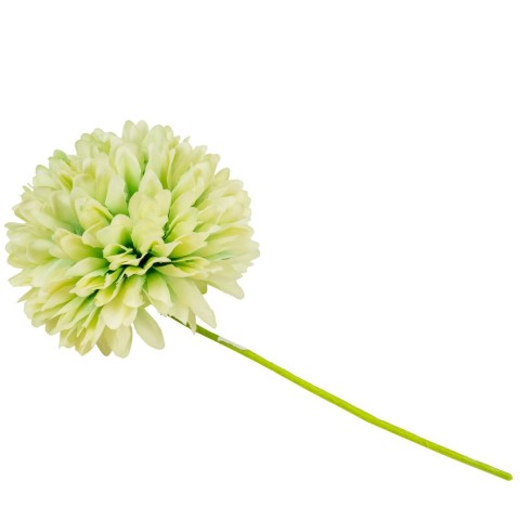 ORTENSIA SFERA MEDIA T.7cm VERDE SALVIA